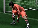 FIFA 09 - screenshot #40