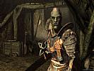 The Elder Scrolls 5: Skyrim - screenshot #20