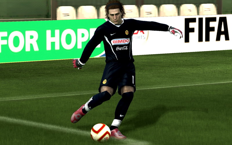 FIFA 09 - screenshot 16
