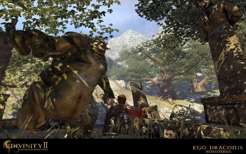 Divinity 2: The Dragon Knight Saga - screenshot 6