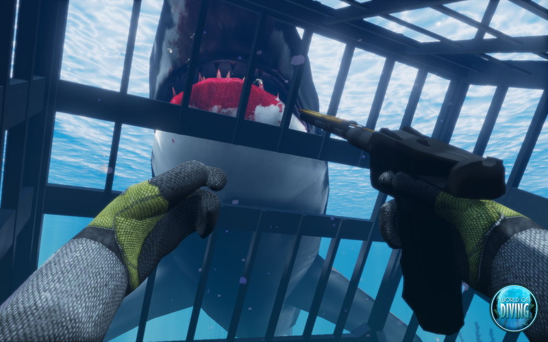 World of Diving - screenshot 13