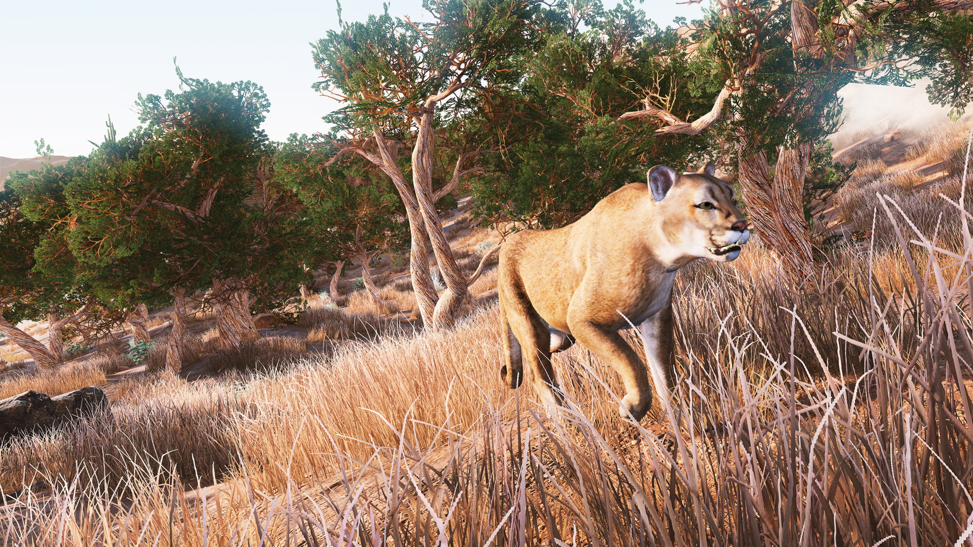 Hunting Simulator - screenshot 1