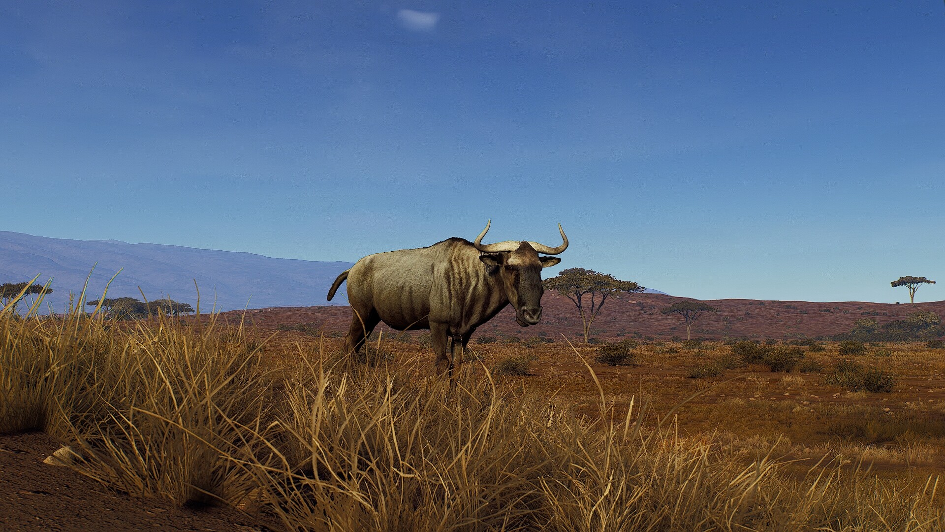 Way of the Hunter: Tikamoon Plains - screenshot 13
