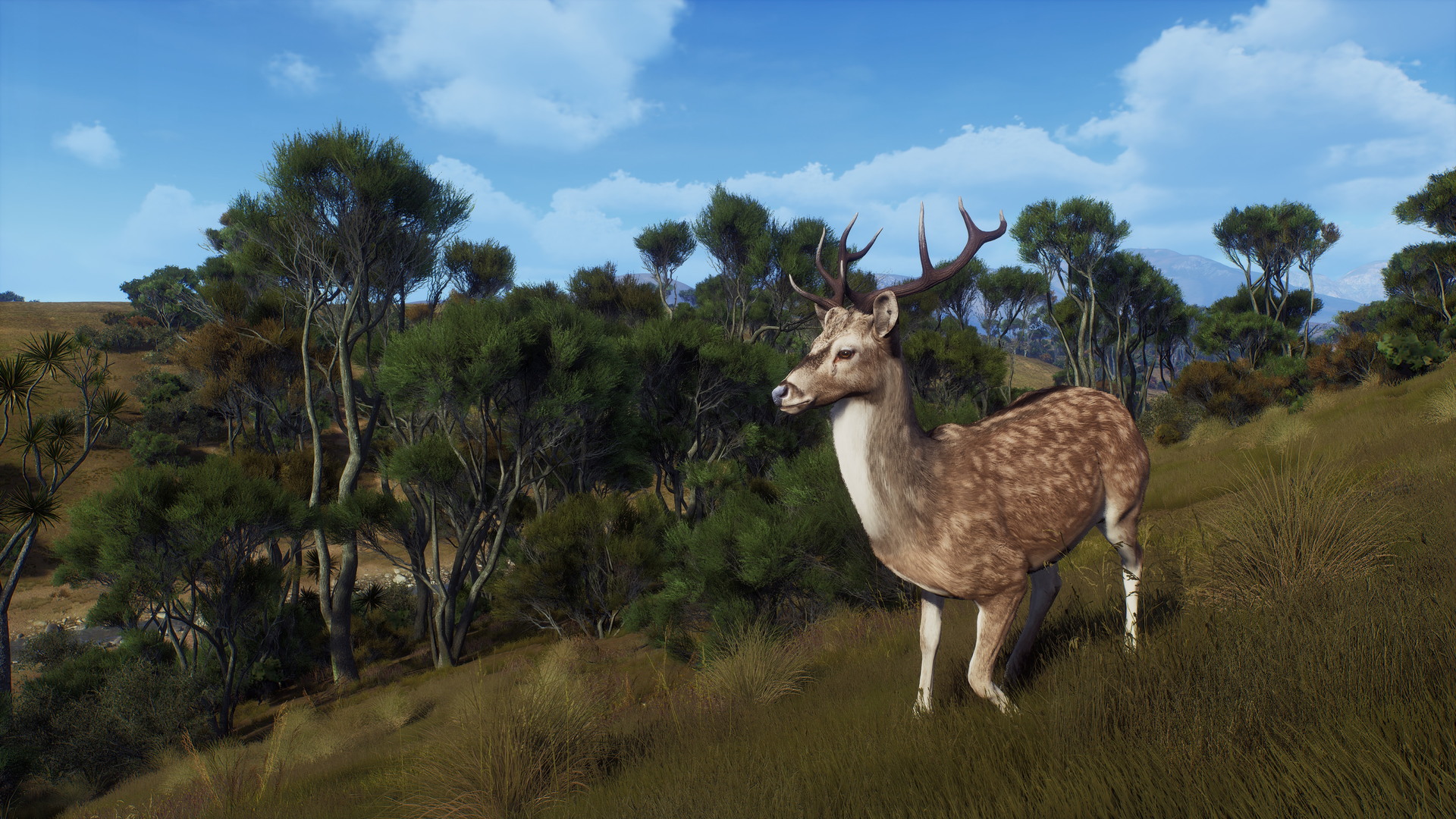 Way of the Hunter: Matariki Park - screenshot 3