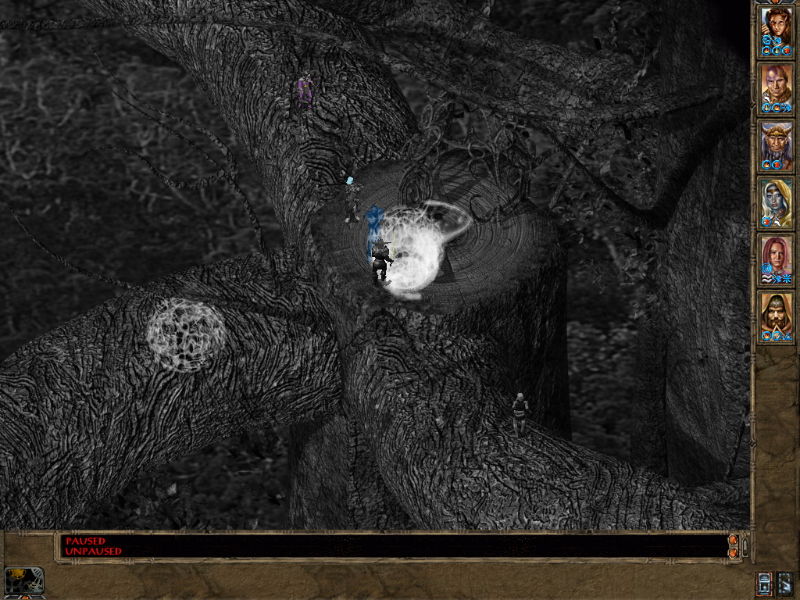 Baldur's Gate 2: Shadows of Amn - screenshot 13