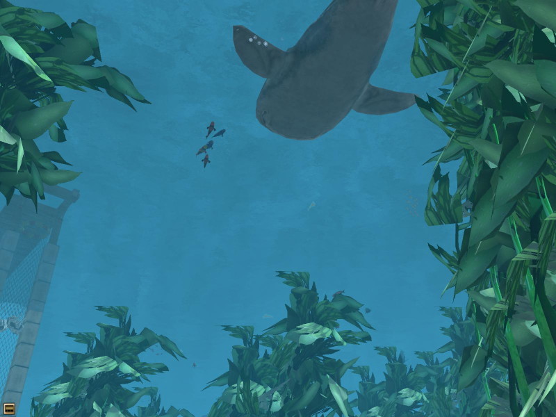 Wildlife Park 2: Marine World - screenshot 11