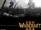 WarCraft 3: Reign of Chaos - wallpaper #2
