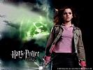 Harry Potter and the Goblet of Fire - wallpaper #9