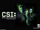 CSI: Crime Scene Investigation - wallpaper #2