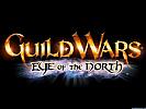 Guild Wars: Eye Of The North - wallpaper