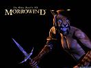 The Elder Scrolls 3: Morrowind - wallpaper #2