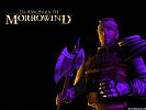 The Elder Scrolls 3: Morrowind - wallpaper #3