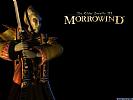 The Elder Scrolls 3: Morrowind - wallpaper #7