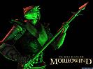 The Elder Scrolls 3: Morrowind - wallpaper #9