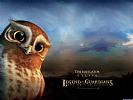Legend of the Guardians: The Owls of Ga'Hoole - wallpaper #3