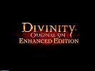 Divinity: Original Sin - Enhanced Edition - wallpaper #2