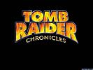 Tomb Raider 5: Chronicles - wallpaper #4