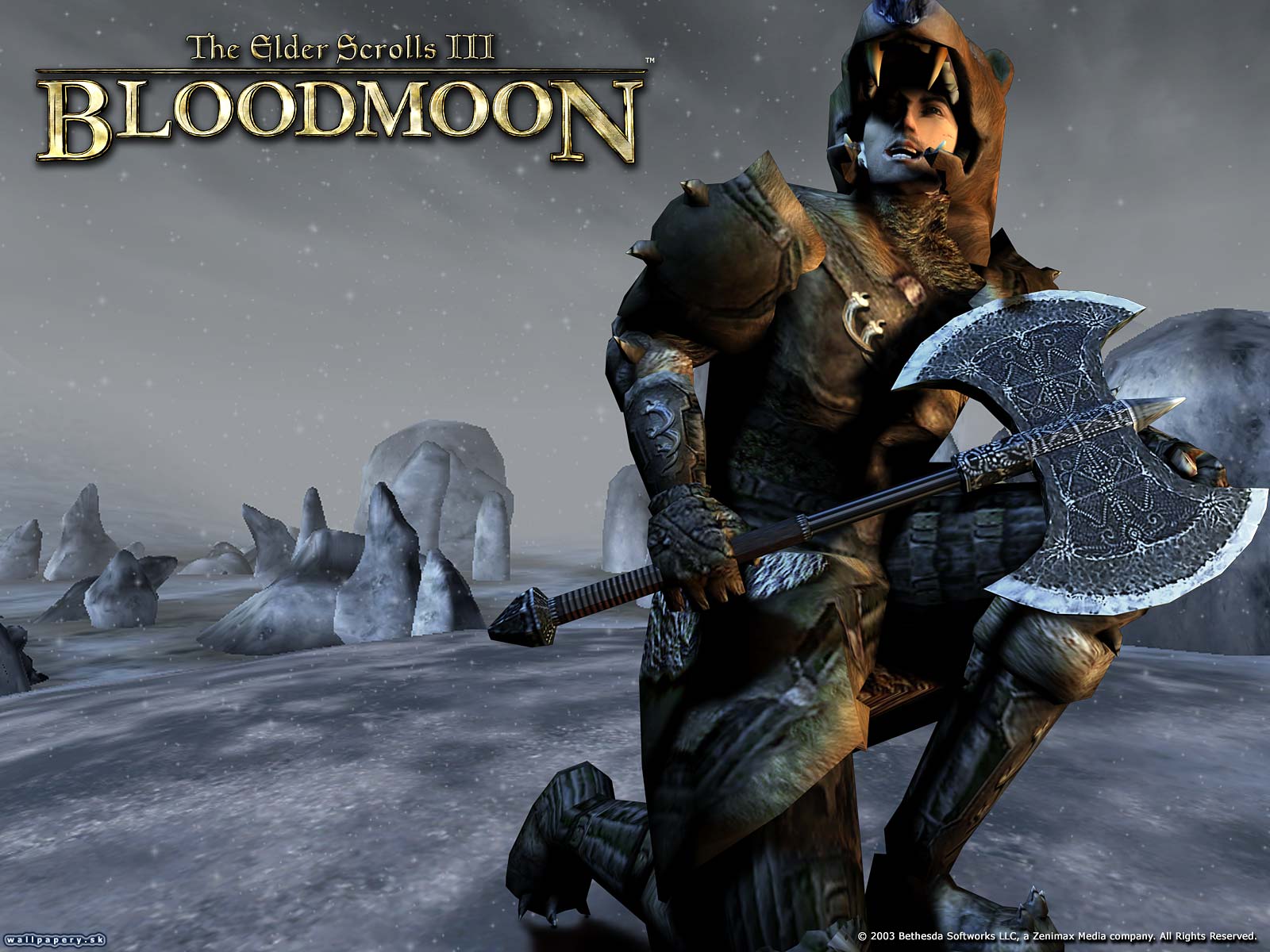 The Elder Scrolls 3: Bloodmoon - wallpaper 1