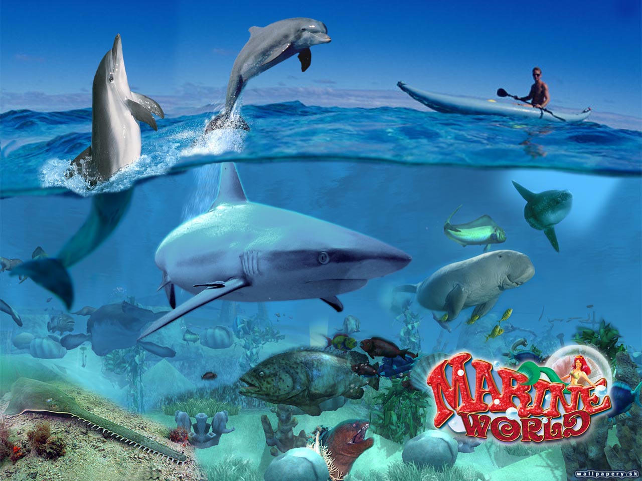 Wildlife Park 2: Marine World - wallpaper 4