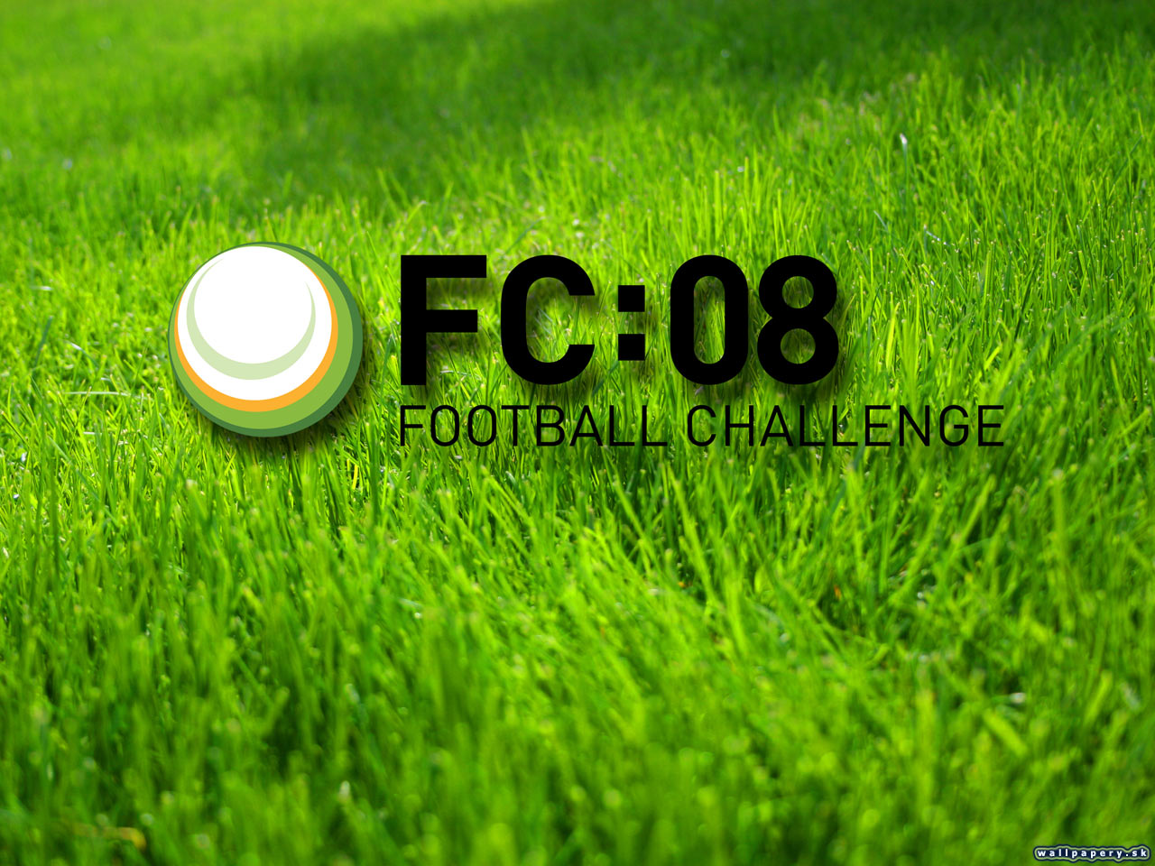 Football Challenge 08 - wallpaper 3