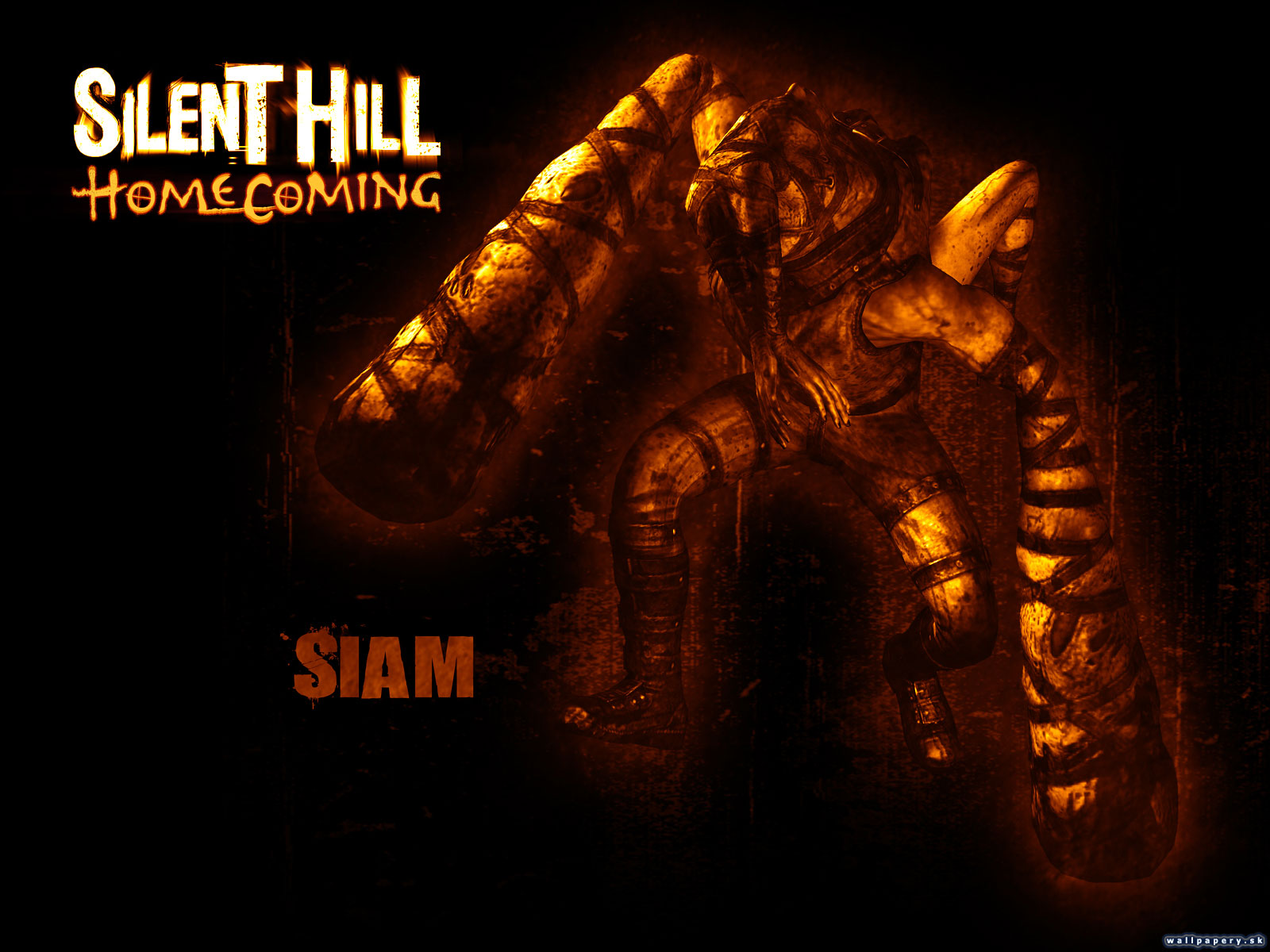Silent Hill 5: Homecoming - wallpaper 7