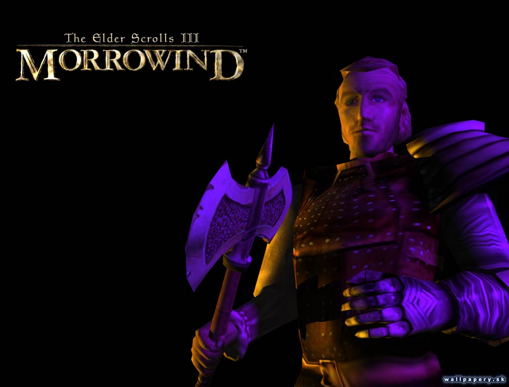 The Elder Scrolls 3: Morrowind - wallpaper 3