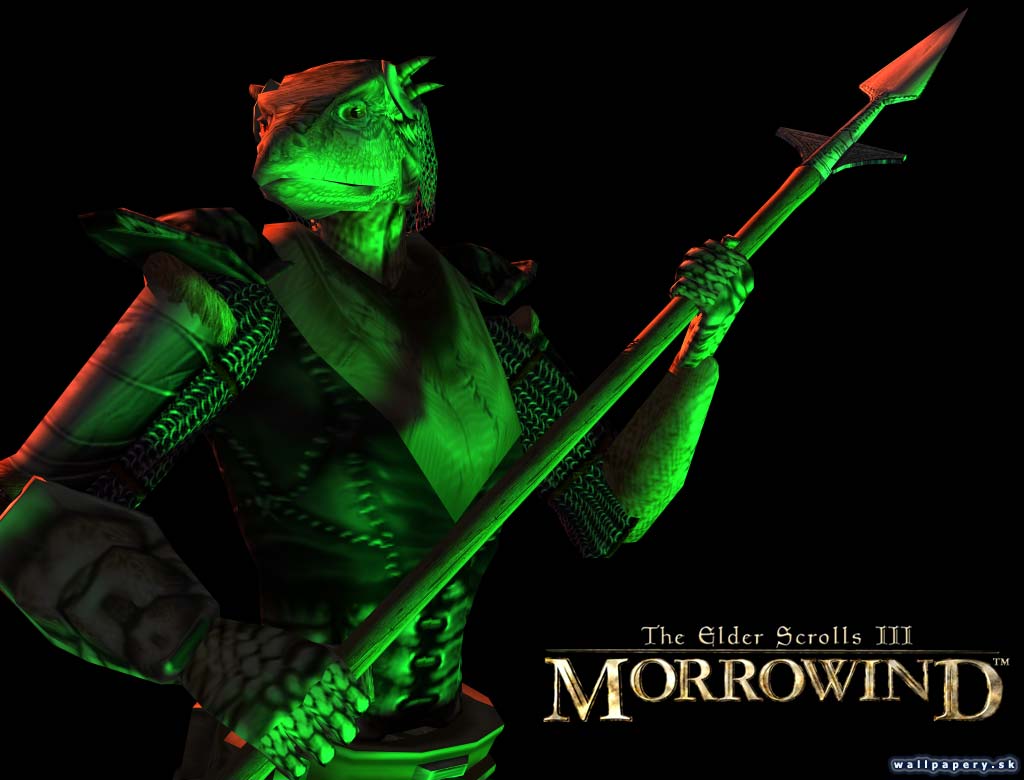 The Elder Scrolls 3: Morrowind - wallpaper 9