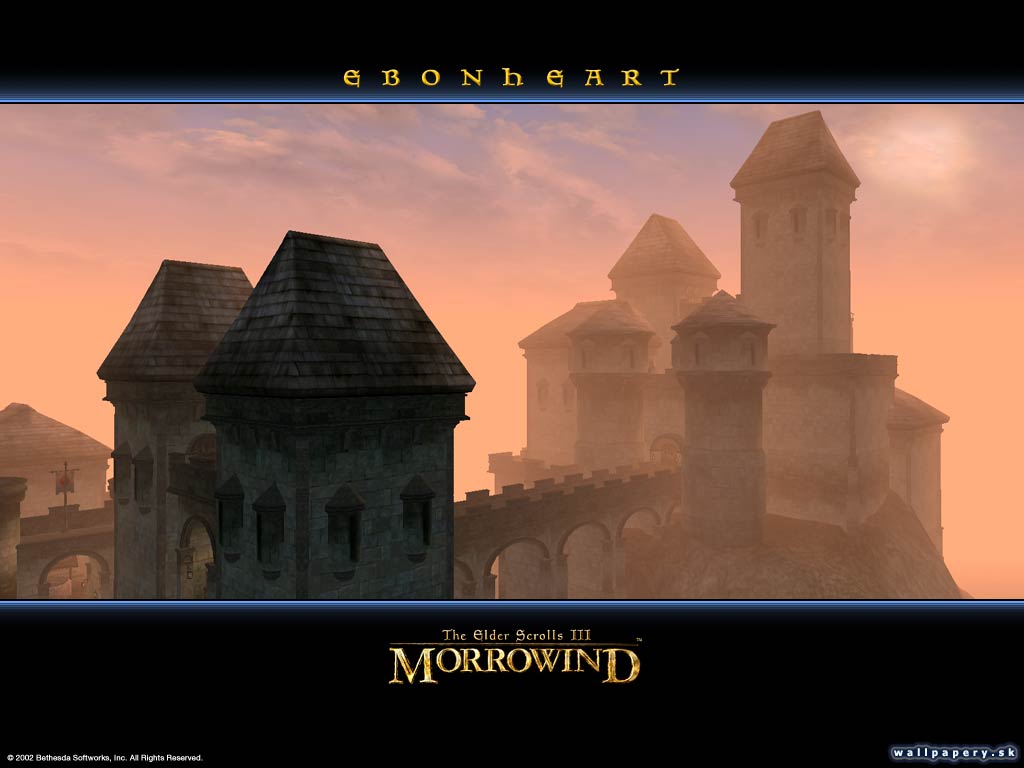 The Elder Scrolls 3: Morrowind - wallpaper 12