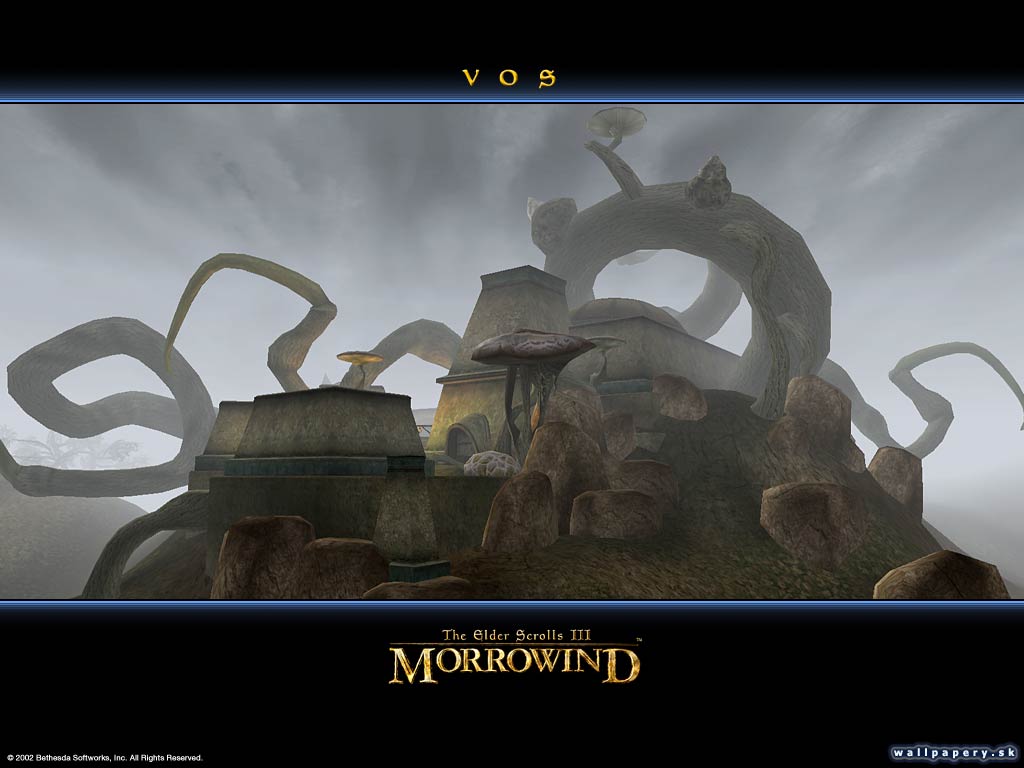 The Elder Scrolls 3: Morrowind - wallpaper 13