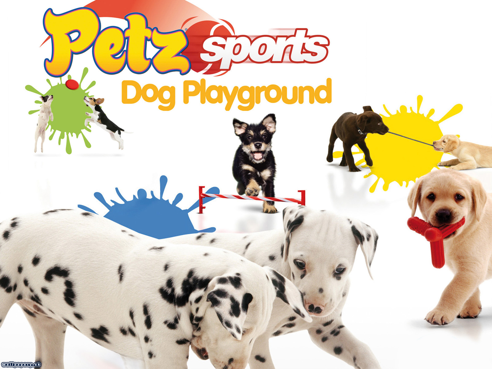 Petz Sports: Dog Playground - wallpaper 1