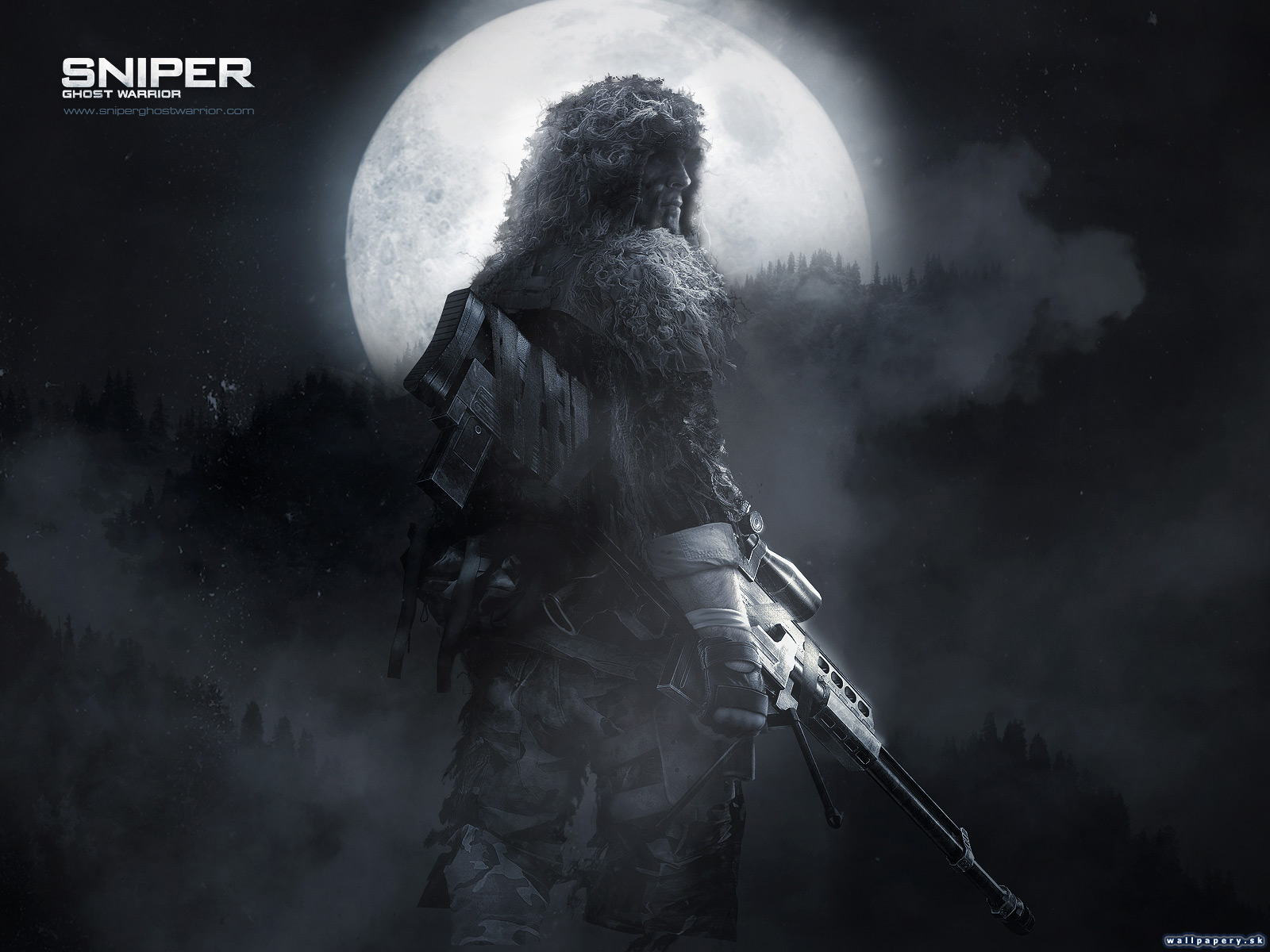 Sniper: Ghost Warrior - wallpaper 6