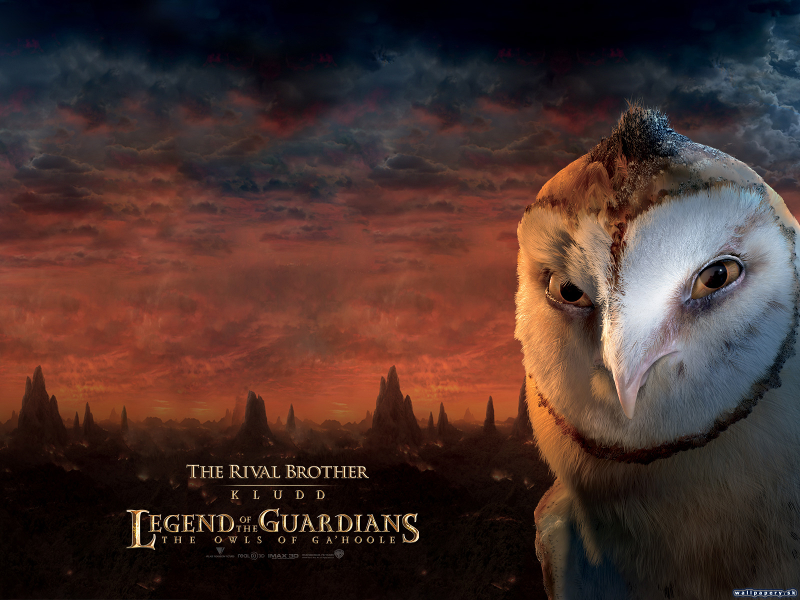 Legend of the Guardians: The Owls of Ga'Hoole - wallpaper 4