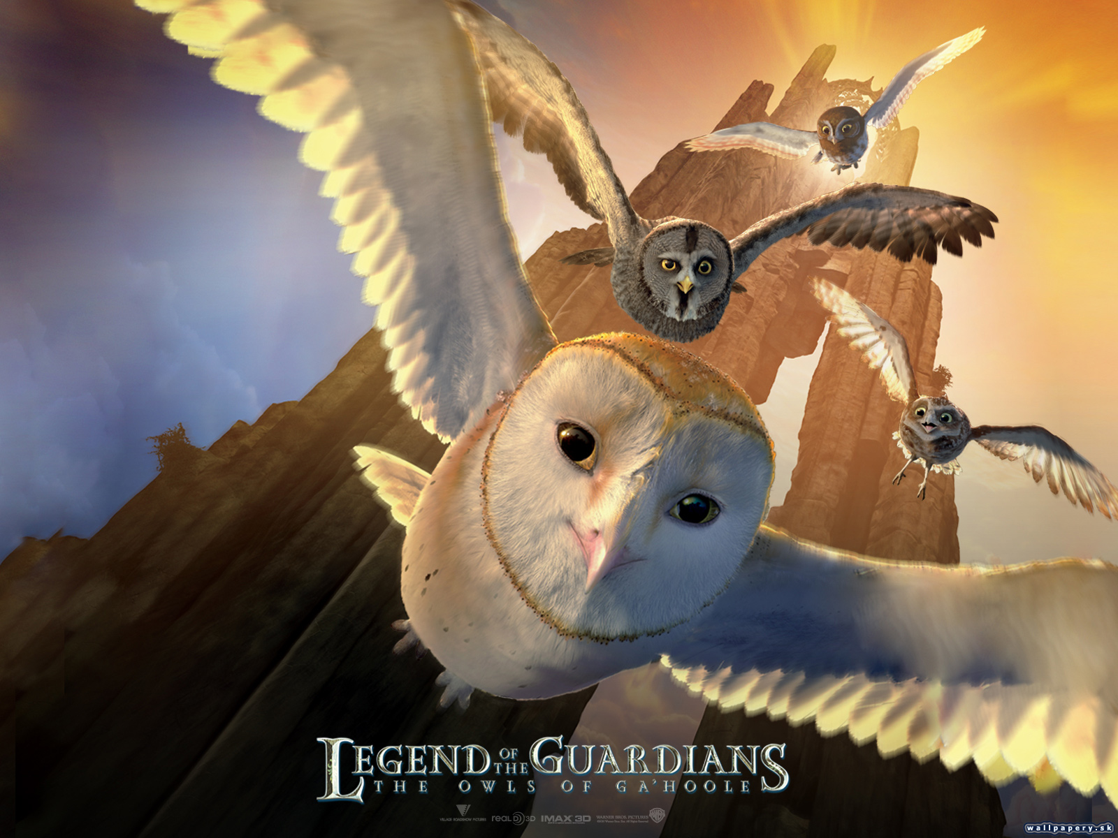 Legend of the Guardians: The Owls of Ga'Hoole - wallpaper 7