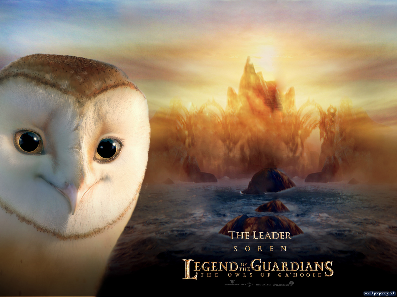 Legend of the Guardians: The Owls of Ga'Hoole - wallpaper 9