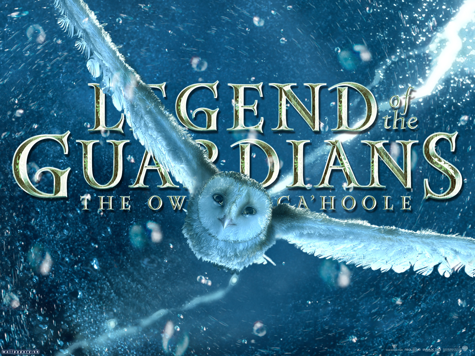 Legend of the Guardians: The Owls of Ga'Hoole - wallpaper 10