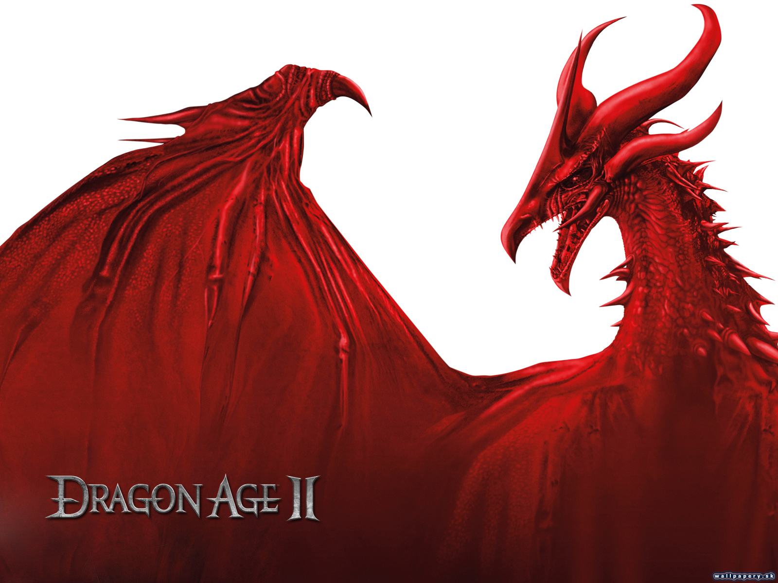 Dragon Age II - wallpaper 14