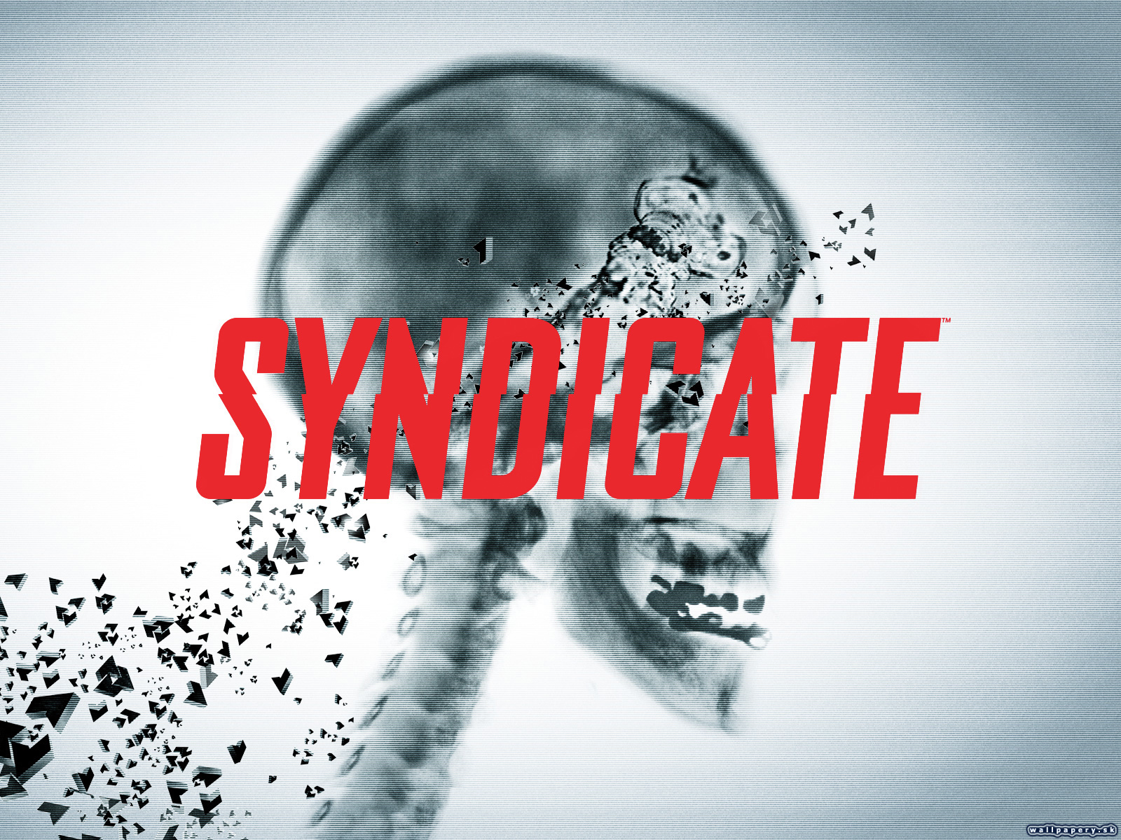 Syndicate - wallpaper 5
