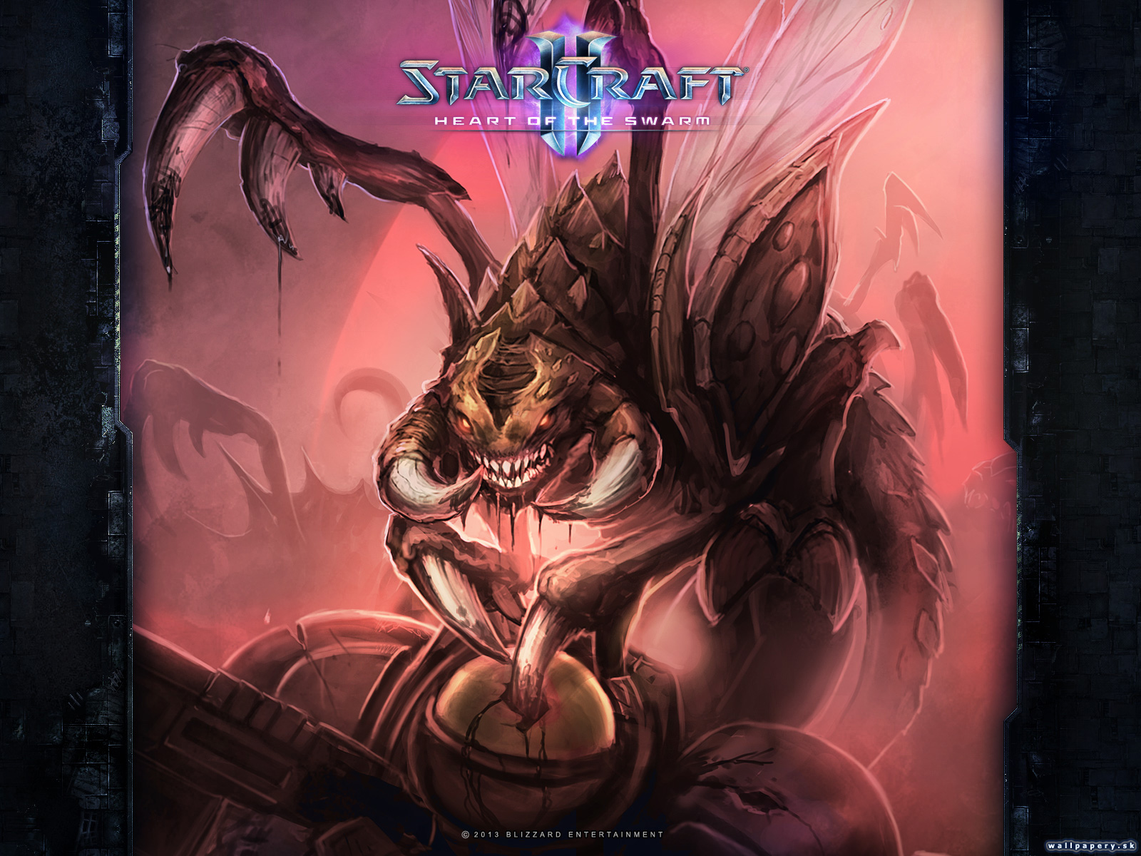 StarCraft II: Heart of the Swarm - wallpaper 9