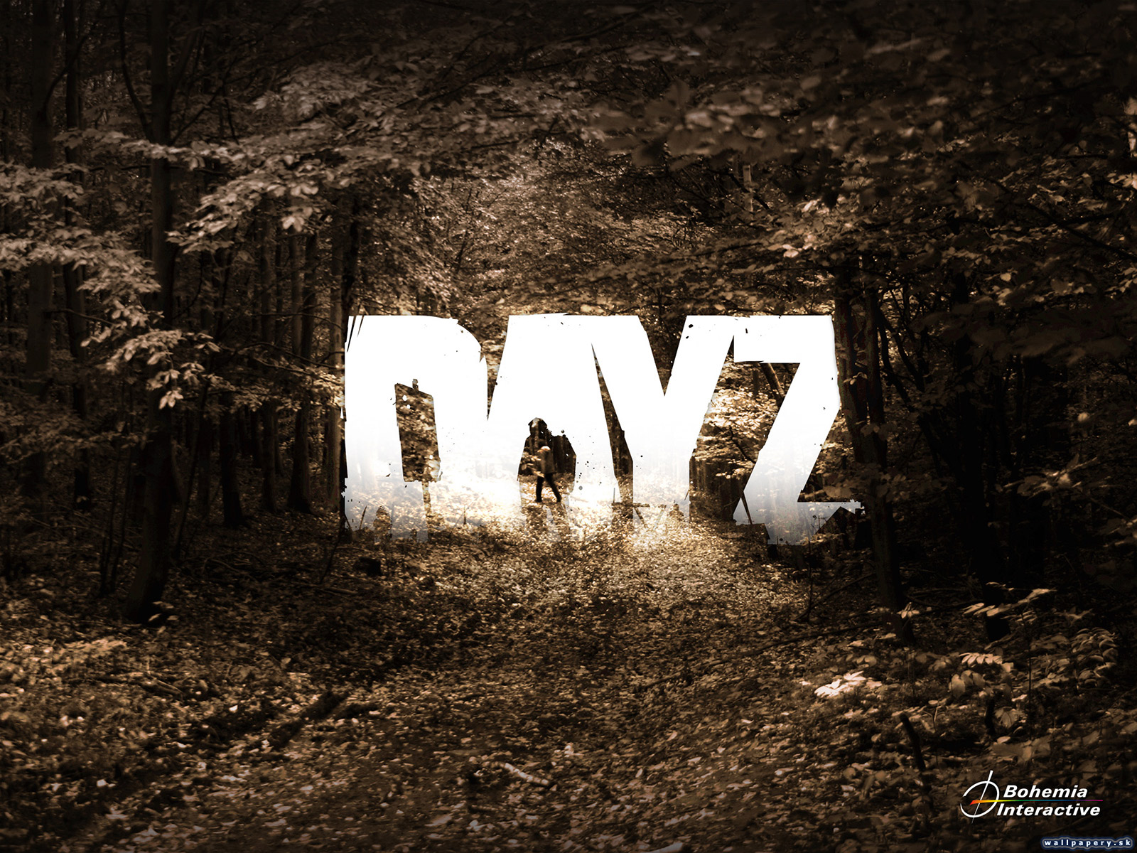 DayZ - wallpaper 4