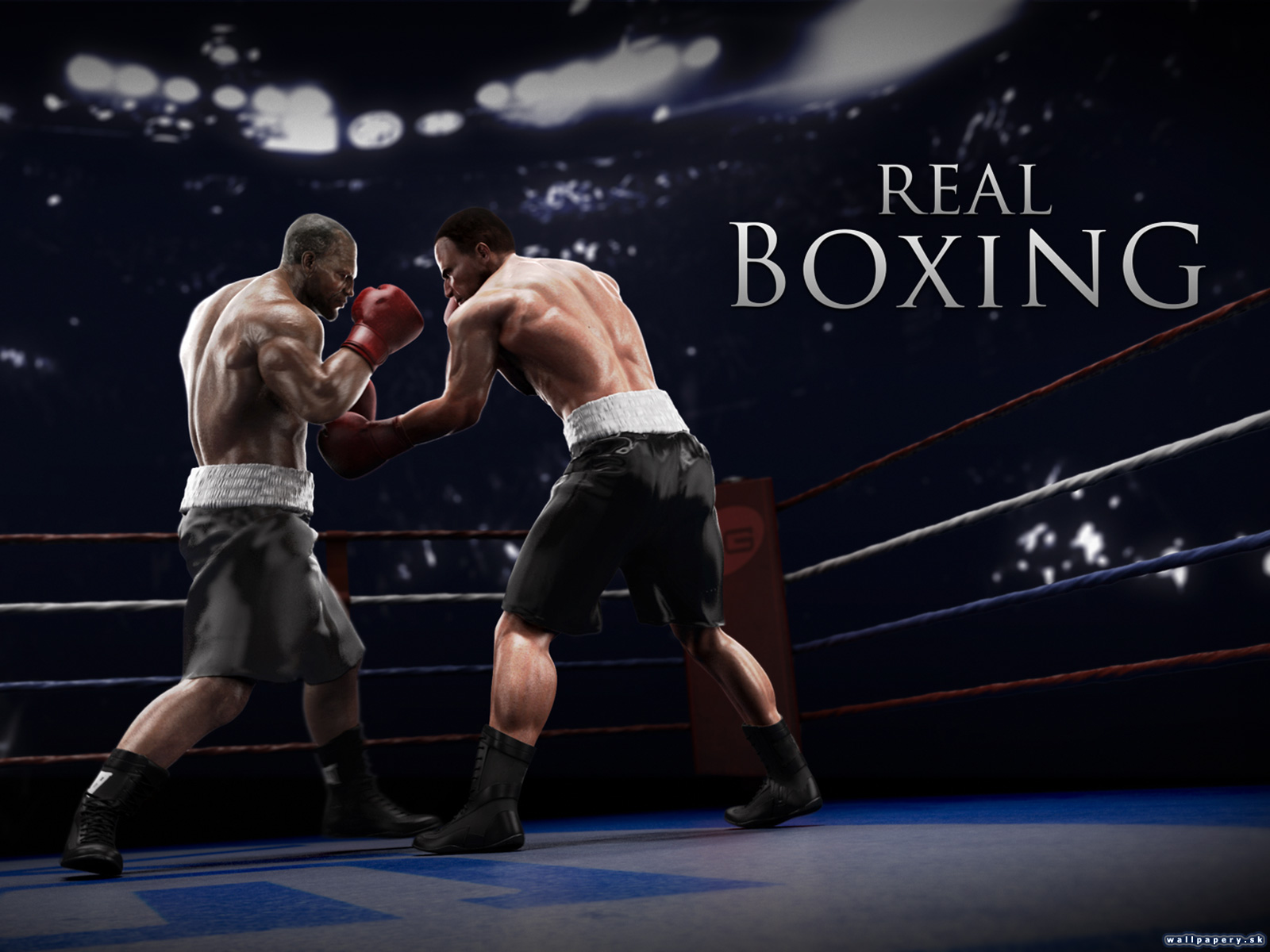 Real Boxing - wallpaper 2