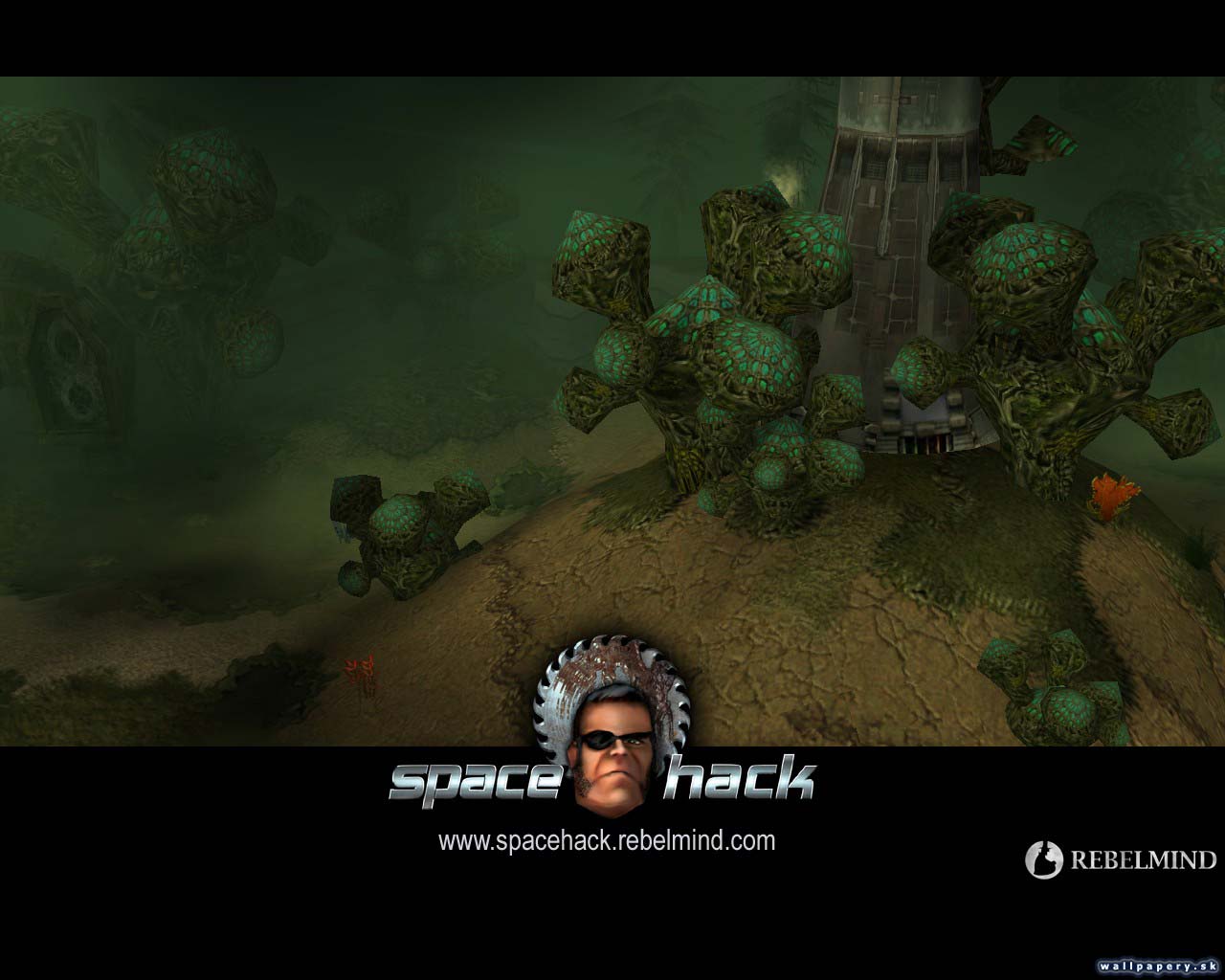 Space Hack - wallpaper 3