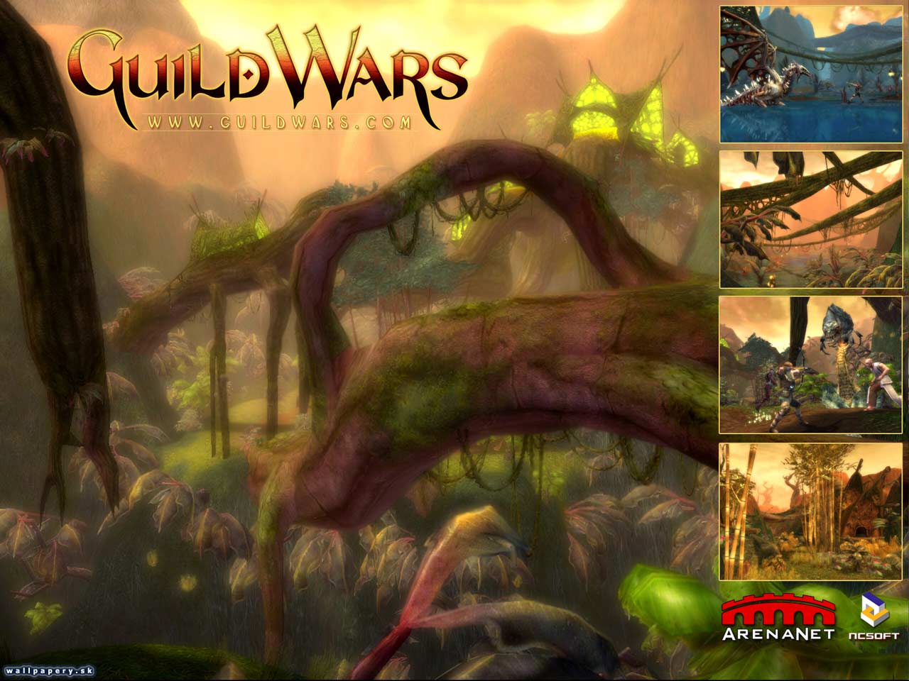Guild Wars - wallpaper 15