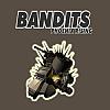 Bandits: Phoenix Rising - predn CD obal