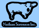 Nathan Sorenson - logo