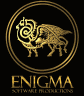 Enigma Software Productions - logo
