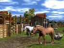 Wildlife Park 2: Horses - screenshot #16