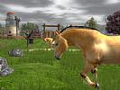 Wildlife Park 2: Horses - screenshot #11