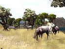 Wildlife Park 2: Horses - screenshot #2