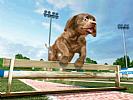 Petz Sports: Dog Playground - screenshot #7