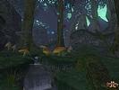 EverQuest 2: Echoes of Faydwer - screenshot #23